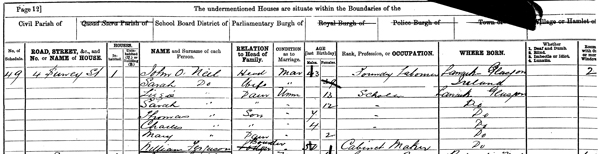 See Source_N020 1881 Census Return for 4 Surrey Street, Registration District of Hutchesontown, Parish of Govan, RG11 Piece 6441 Folio 49 Page 12. Enumeration District 109