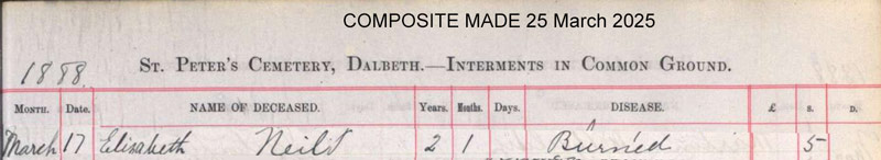 source_N170.jpg. Downloaded image of burial of Elizabeth Neil 17 Mar 1888