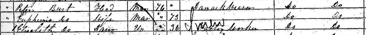 1861 Census return for South Inglis Street, Dunfermline