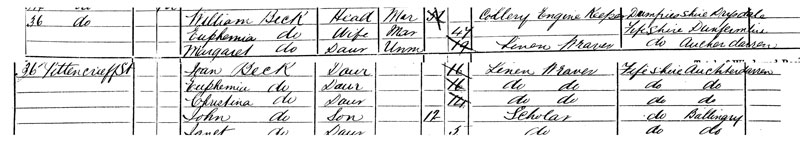 1881 Census Return for 36 Pittencrieff Street