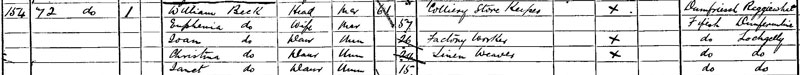 1891 Census Return for Albany Street, Dunfermline