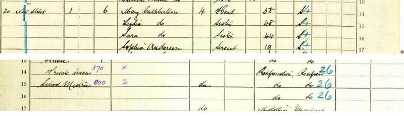 Sophia Anderson in 1911 Census - 22 New Street, Musselburgh