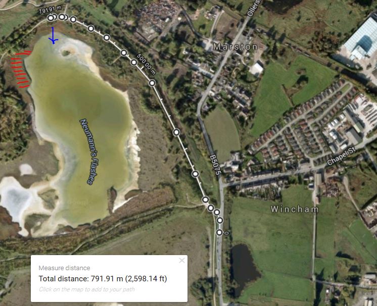 Starling Roost at Neumanns Flash