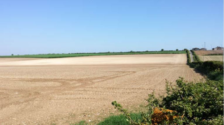 Chosely Drying Barns