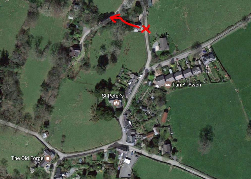 Llanbedr-y-cennin hawfinch location
