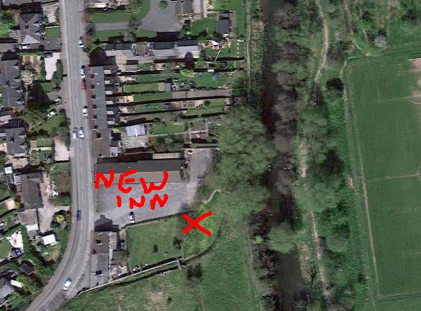  Location of Black-throated Thrush at St Asaph