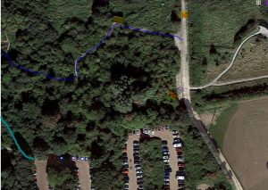 Titchwell Turtle Dove Location